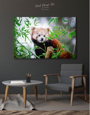 Red Panda Canvas Wall Art - image 3