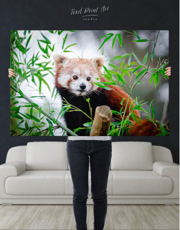 Red Panda Canvas Wall Art - image 9
