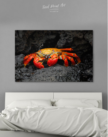 Red Rock Crab Canvas Wall Art
