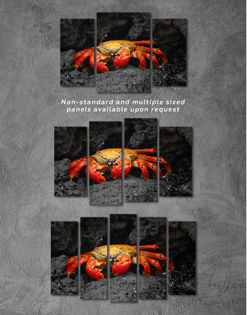 Red Rock Crab Canvas Wall Art - image 4