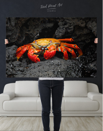 Red Rock Crab Canvas Wall Art - image 9