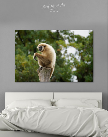 Gibbon Photo Canvas Wall Art