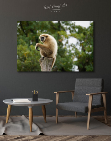 Gibbon Photo Canvas Wall Art - image 3
