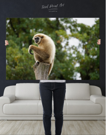 Gibbon Photo Canvas Wall Art - image 8