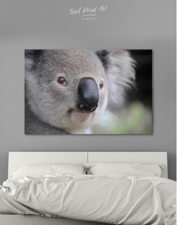 Koala Portrait Canvas Wall Art