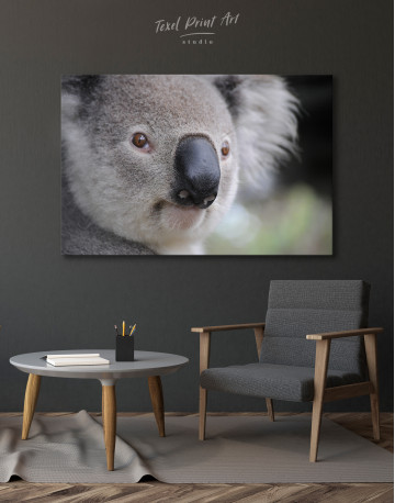 Koala Portrait Canvas Wall Art - image 3
