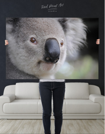 Koala Portrait Canvas Wall Art - image 9