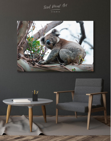 Koala Photo Canvas Wall Art - image 3