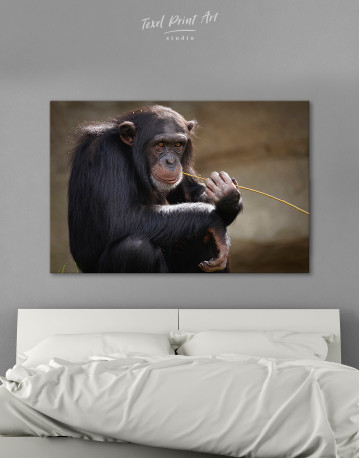 Chimpanzee Photo Canvas Wall Art