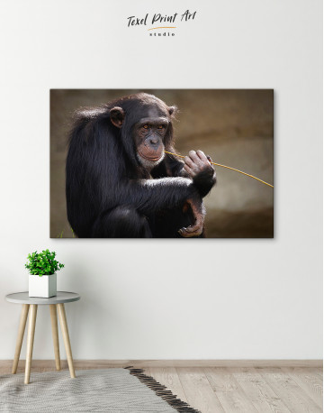Chimpanzee Photo Canvas Wall Art - image 5