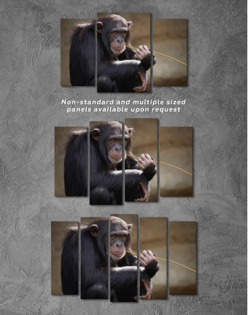 Chimpanzee Photo Canvas Wall Art - image 4