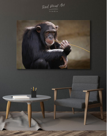 Chimpanzee Photo Canvas Wall Art - image 3