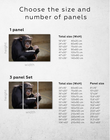 Chimpanzee Photo Canvas Wall Art - image 8