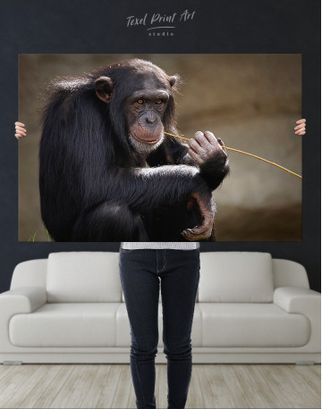 Chimpanzee Photo Canvas Wall Art - image 9