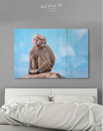 Baboon Photo Canvas Wall Art