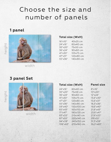 Baboon Photo Canvas Wall Art - image 8