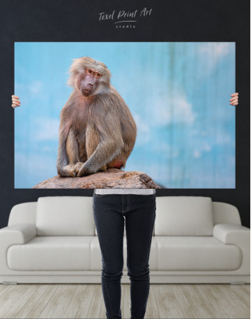 Baboon Photo Canvas Wall Art - image 9