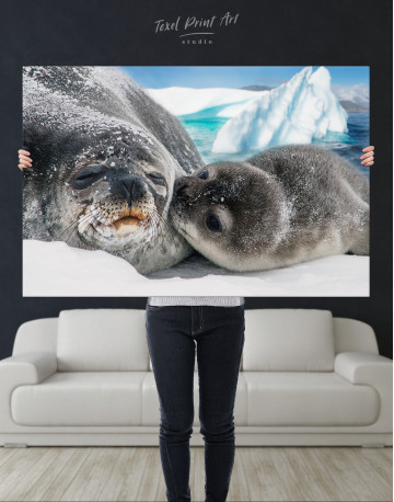 Cute Seals Canvas Wall Art - image 9