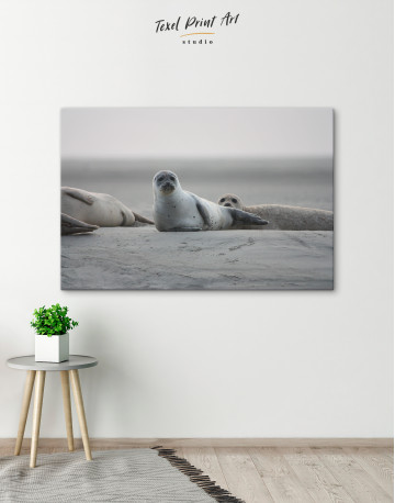 Seals Photo Canvas Wall Art - image 5