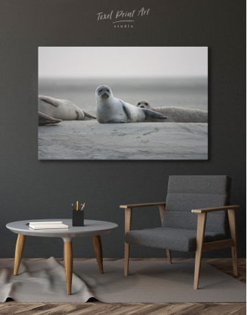 Seals Photo Canvas Wall Art - image 3