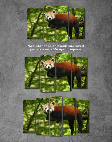 Red Panda Photo Canvas Wall Art - image 4