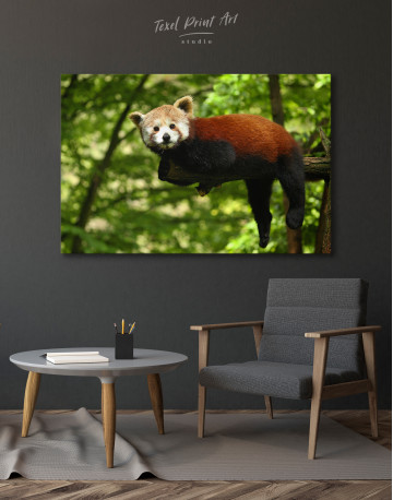 Red Panda Photo Canvas Wall Art - image 3