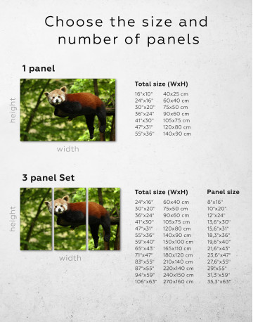 Red Panda Photo Canvas Wall Art - image 1
