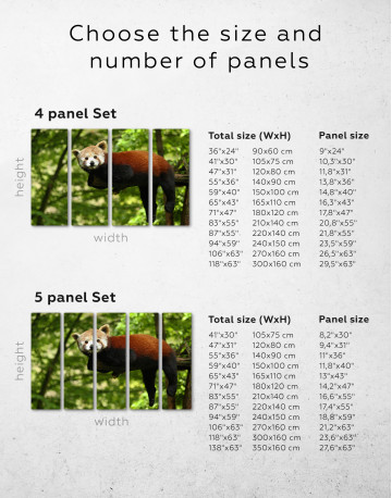 Red Panda Photo Canvas Wall Art - image 8