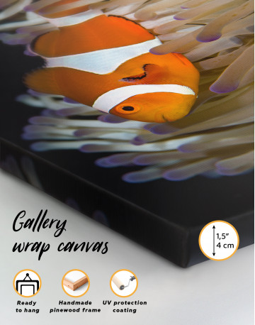 Clownfish Photo Canvas Wall Art - image 2