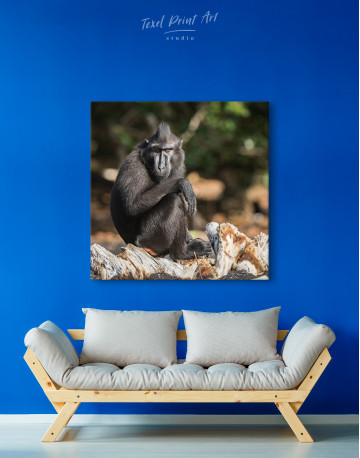 Crested Black Macaque Canvas Wall Art - image 3