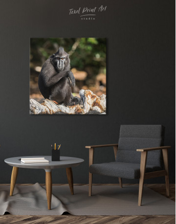 Crested Black Macaque Canvas Wall Art - image 2