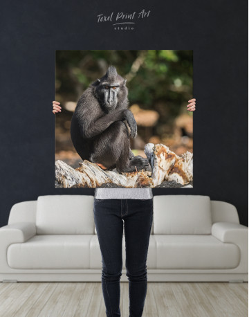 Crested Black Macaque Canvas Wall Art - image 6