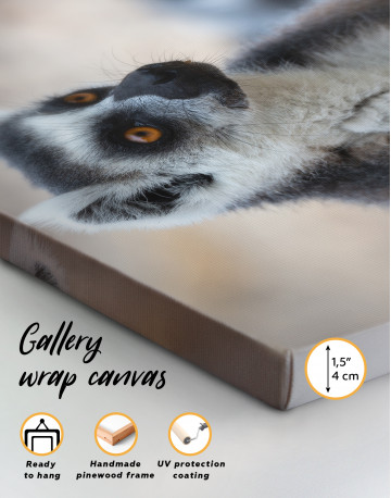 Lemur Photo Canvas Wall Art - image 7