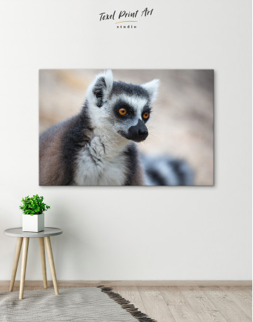 Lemur Photo Canvas Wall Art - image 5