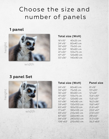 Lemur Photo Canvas Wall Art - image 8