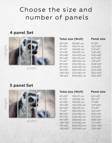 Lemur Photo Canvas Wall Art - image 1