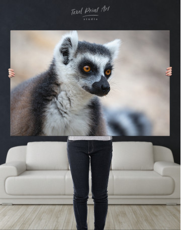 Lemur Photo Canvas Wall Art - image 9