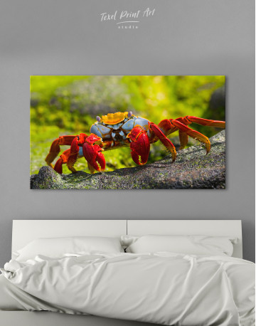 Red Crab Canvas Wall Art