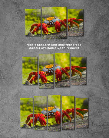 Red Crab Canvas Wall Art - image 4