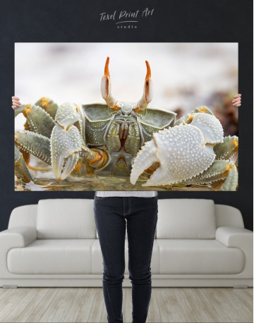 Horned Ghost Crab Canvas Wall Art - image 9