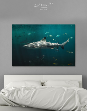 Shark Underwater Canvas Wall Art