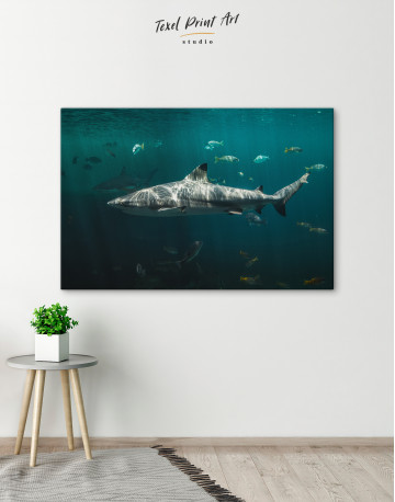 Shark Underwater Canvas Wall Art - image 5