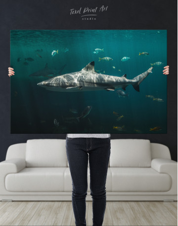 Shark Underwater Canvas Wall Art - image 9