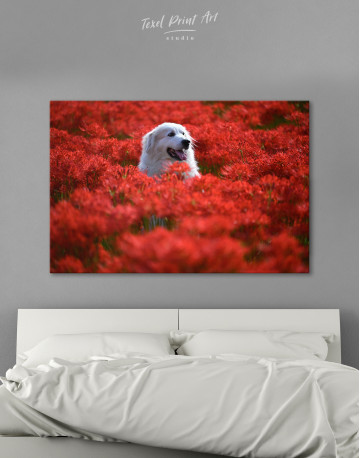 Pyrenean Mountain Dog in Red Spider Lily Field Canvas Wall Art
