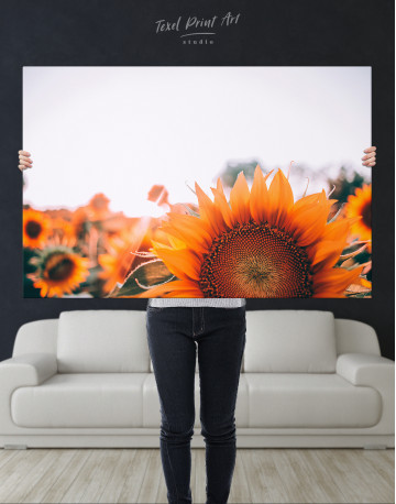 Sunflower Filed Canvas Wall Art - image 9