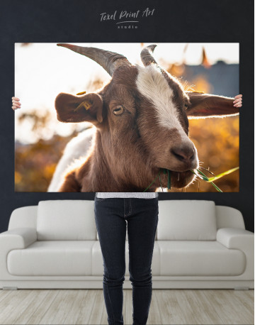 Farm Goat Canvas Wall Art - image 4