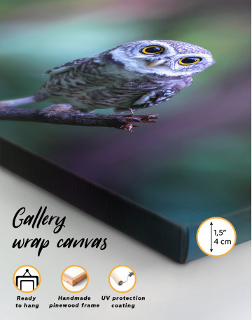 Cute Owl on Branch Canvas Wall Art - image 2
