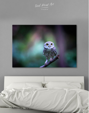Cute Owl on Branch Canvas Wall Art - image 8