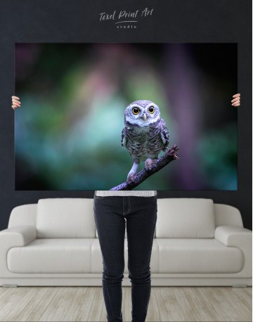 Cute Owl on Branch Canvas Wall Art - image 7