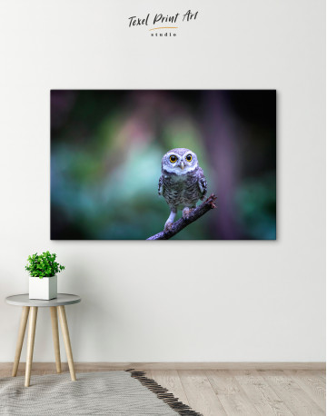 Cute Owl on Branch Canvas Wall Art - image 6
